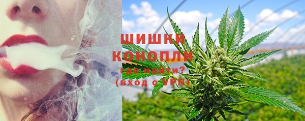 твердый Богданович