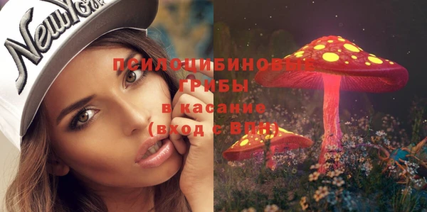 бутират Богородицк
