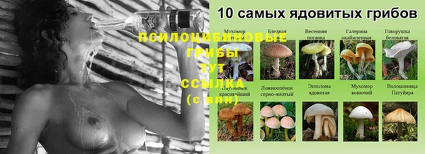 бутират Богородицк