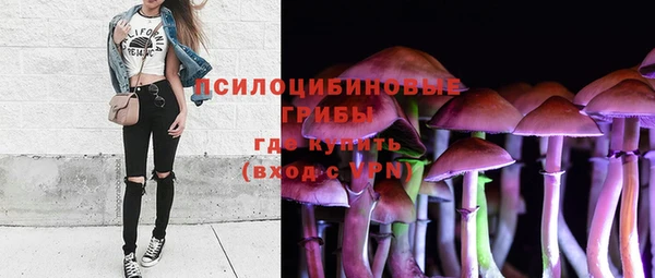 бутират Богородицк
