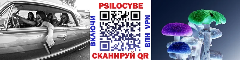 Купить закладки  Нюрба  Галлюциногенные грибы Psilocybe 